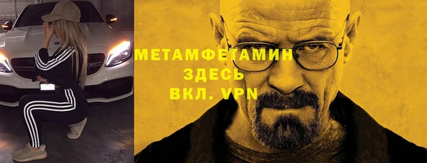 гашик Гусев