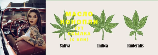 СК Горняк