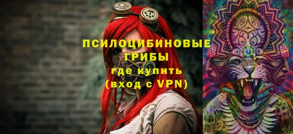 СК Горняк