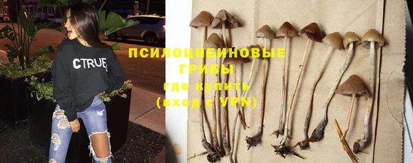 СК Горняк