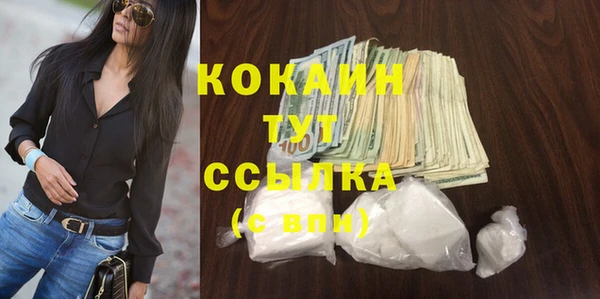 СК Горняк