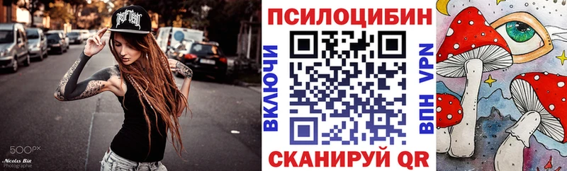Купить закладки  Кимры  Галлюциногенные грибы Cubensis 